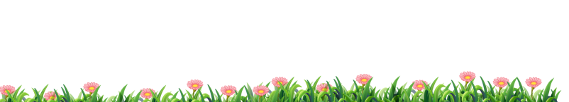 flowers2 flowers2